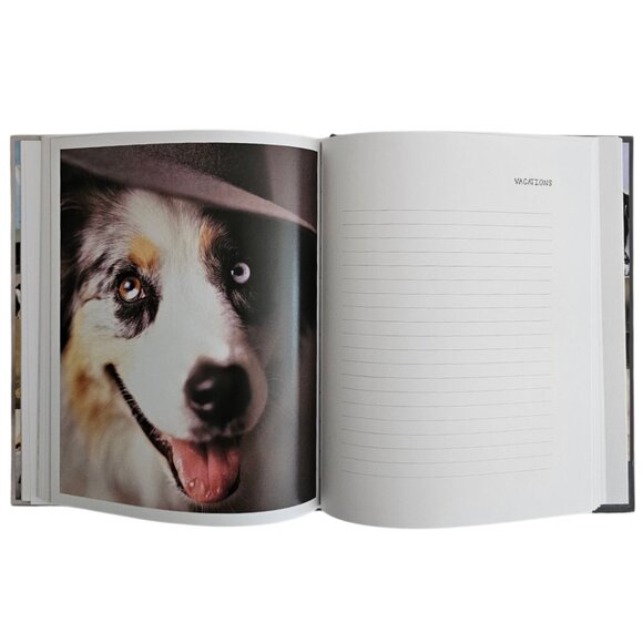 My Dog Record Book By Rachael Hale | Hardcover | NWT | Gray Red - Picture 11 of 12